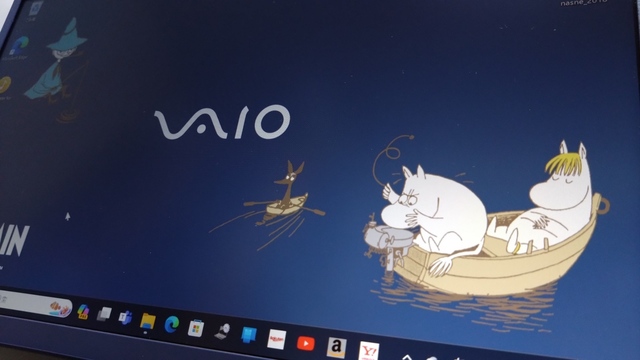 Vaio