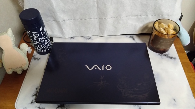 VAIO