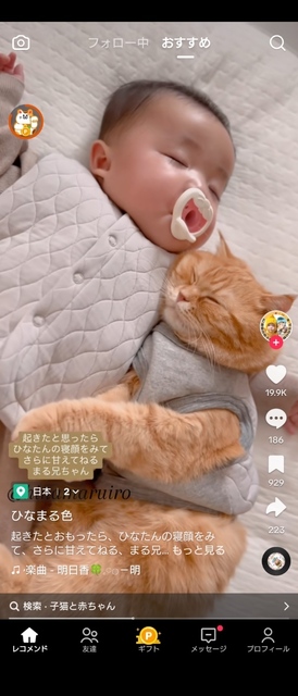 ひなまる.png