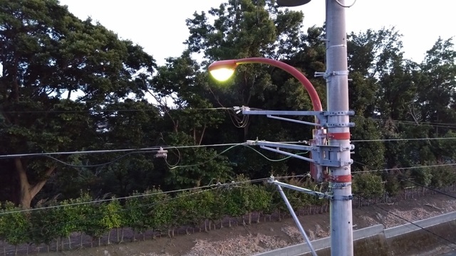 門灯