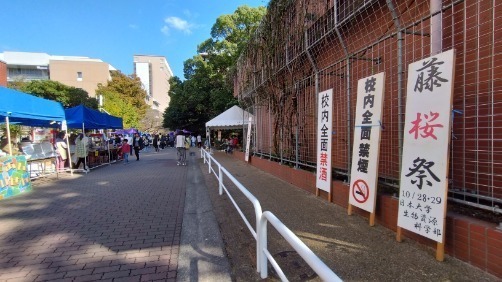 学園祭